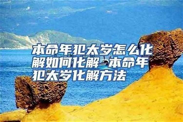 生肖狗1946年2025年运势如何 生肖狗1946年2025年全年运势