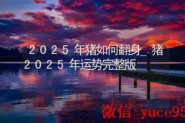 生肖猪1995年2025年运势如何 生肖猪1995年2025年全年运势