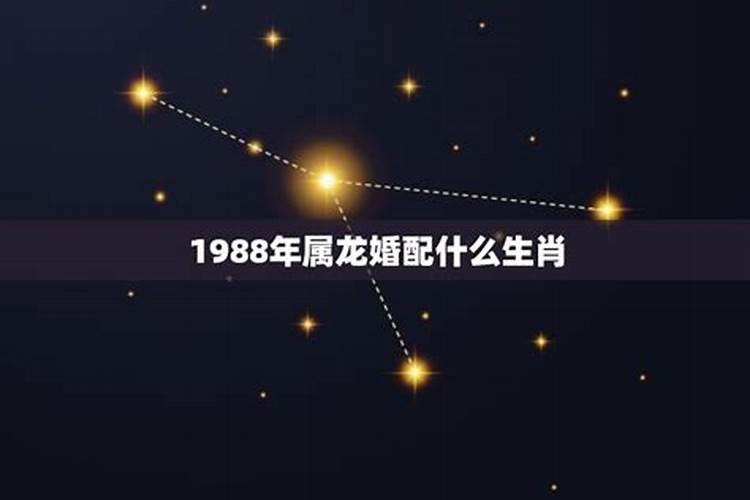 2025蛇年适合生宝宝么 2025蛇是百年难遇吗