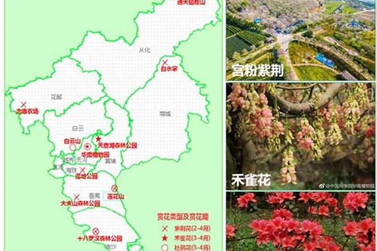 广州附近清明节适合去哪里旅游(清明节去广州哪里好玩)