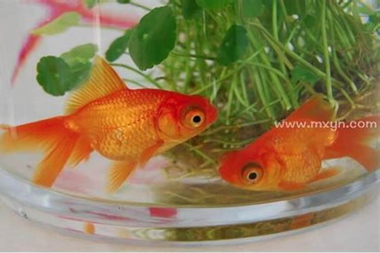 夏至每年都是6月21日吗夏至每年都是同一天吗