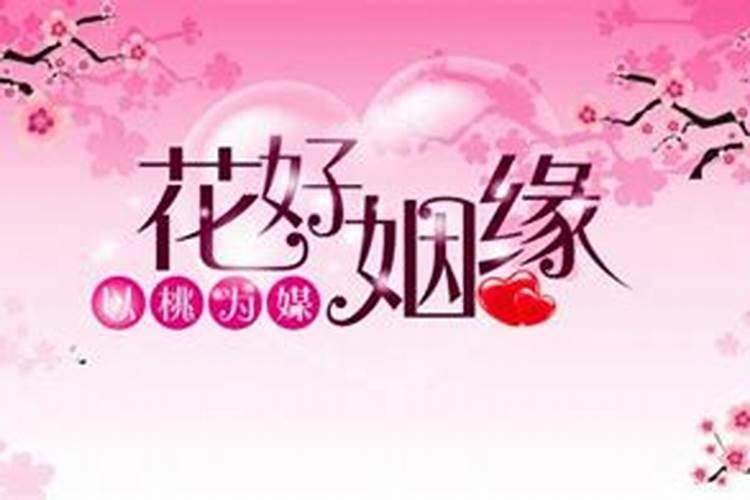 午时和亥时婚姻合吗 姻缘运势怎么样？