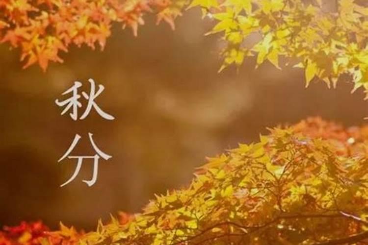 秋分出生的女孩命运
