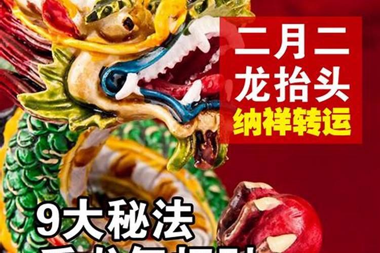 属马在2025蛇年的运气如何