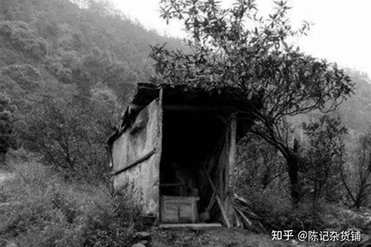 梦到老式蹲坑厕所