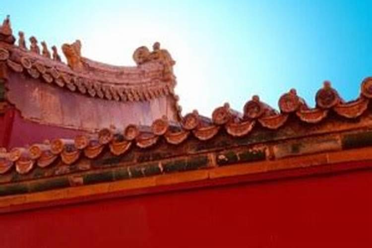 仙命、亡命、化命各指什么？