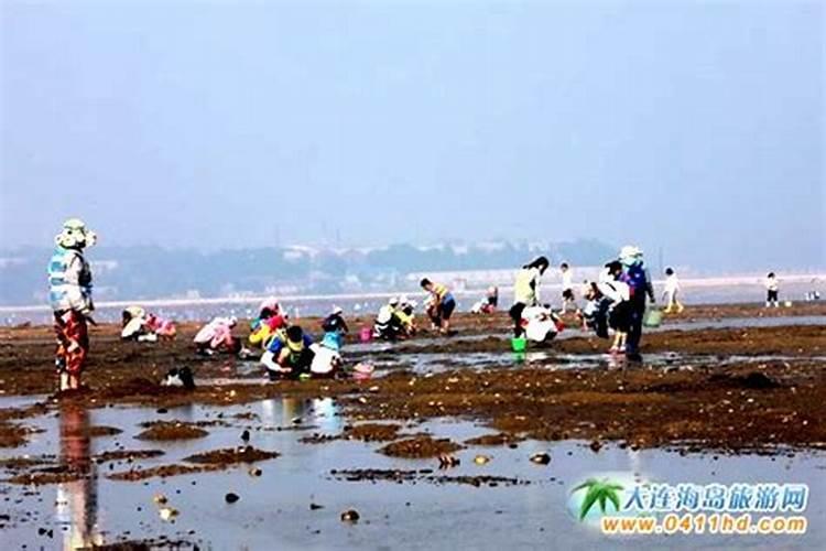 广州真实灵异事件 沙河顶29路末班车切忌不能坐