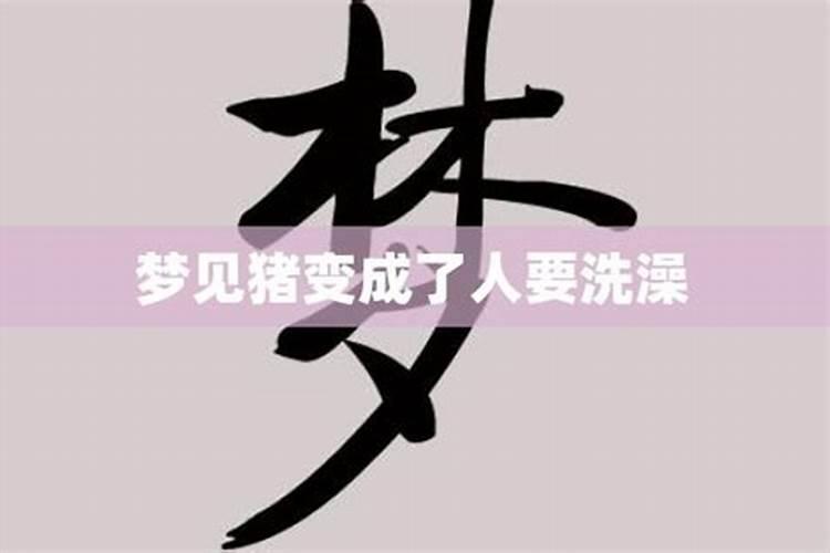 梦见人死后又活过来了的预兆
