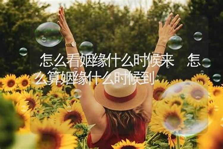 求证!批八字、先批八字、细批八字、精批八字如何区分呀？