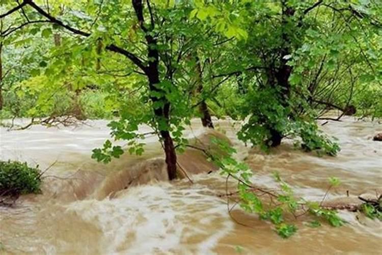 梦见洪水把路冲断了挡住了去路