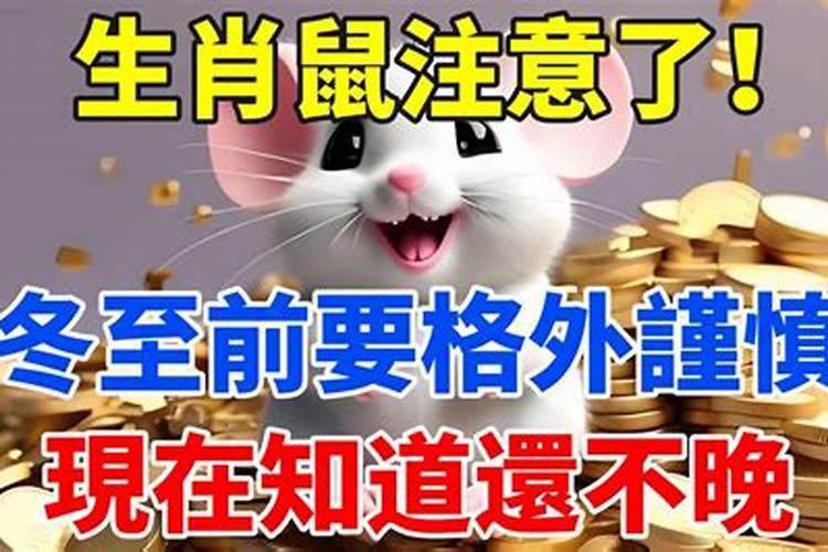 梦见鸟叫声很悦耳