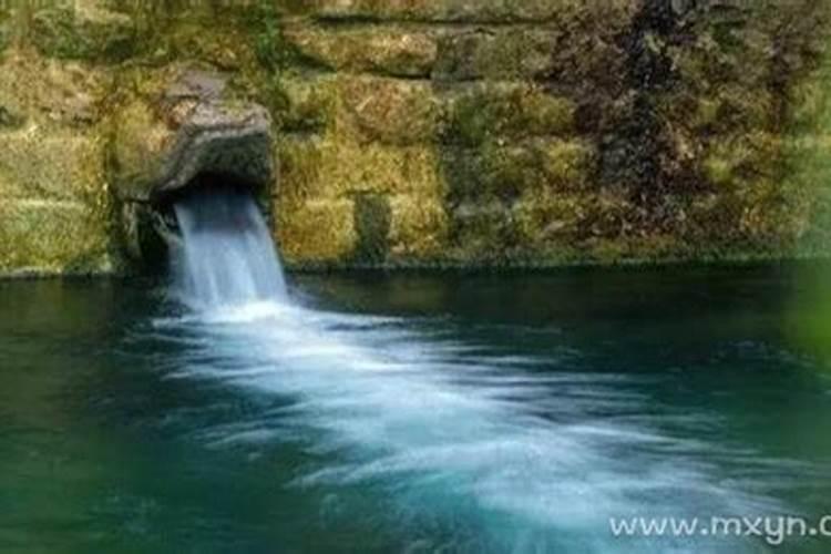 梦见墓地出泉水的预兆