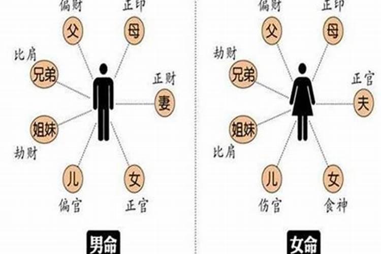 女命比肩代表什么