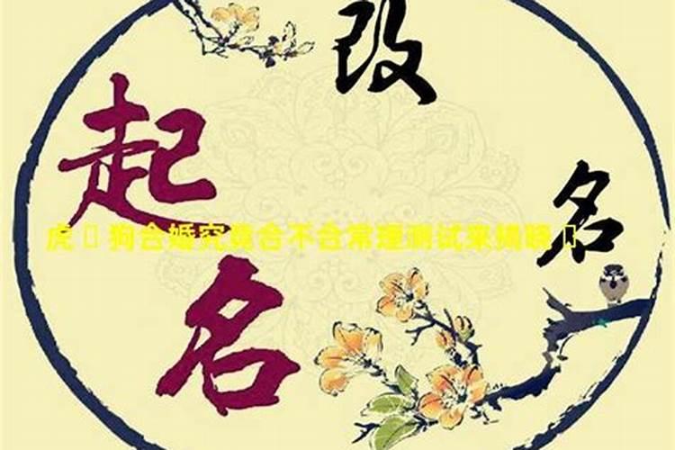 69年属鸡人2025全年运势