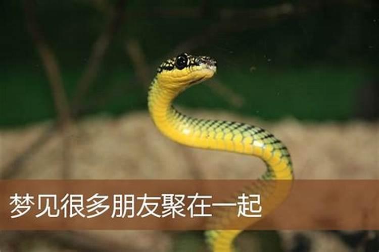 属马2025重孝在几月份