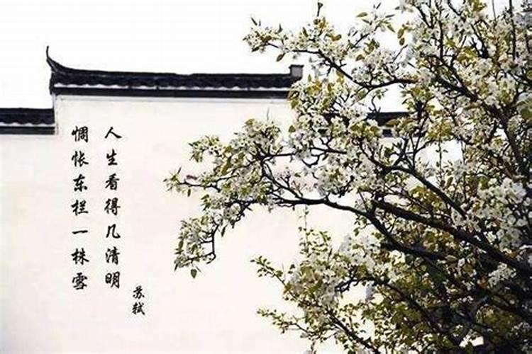 福建省冬至吃什么？汤圆还是饺子？