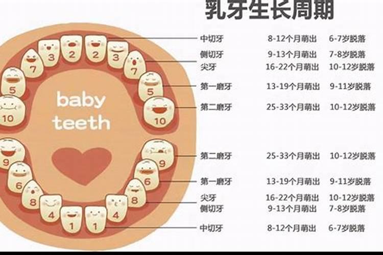 妈妈梦见自己宝宝长牙