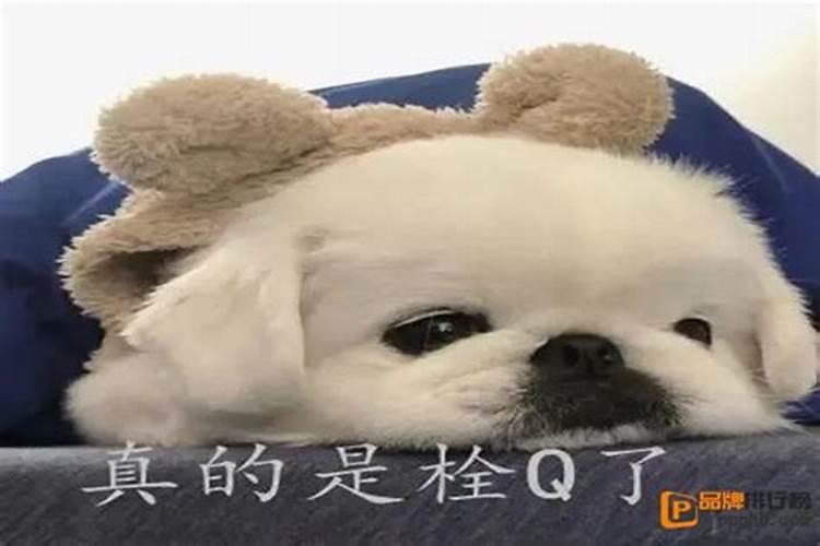 童子命的人面相特征