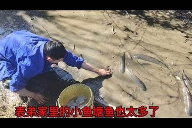 刑太岁佩戴什么化解需要注意什么