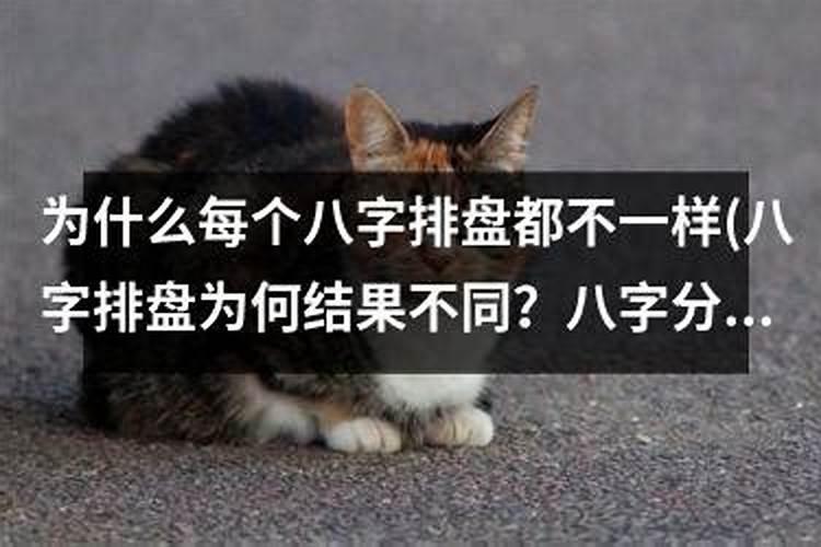 1983年属猪和什么属相最配