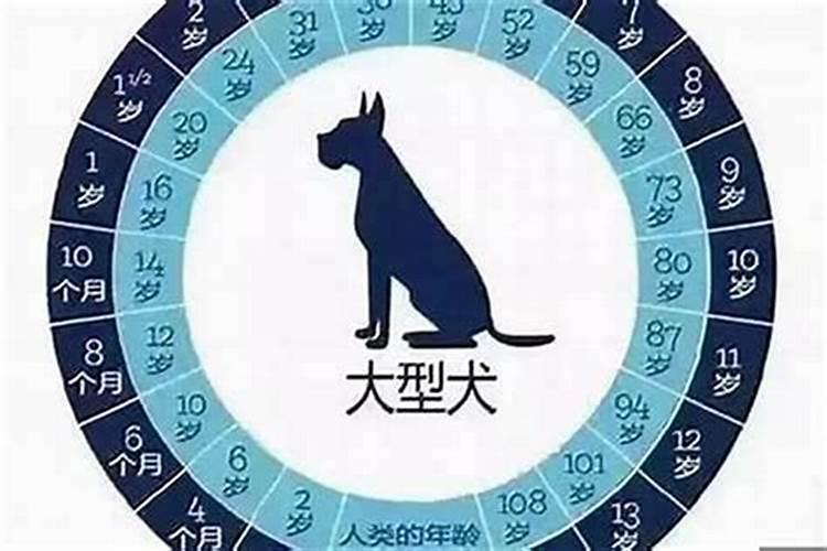 潮汕传统节日的习俗都有哪些？