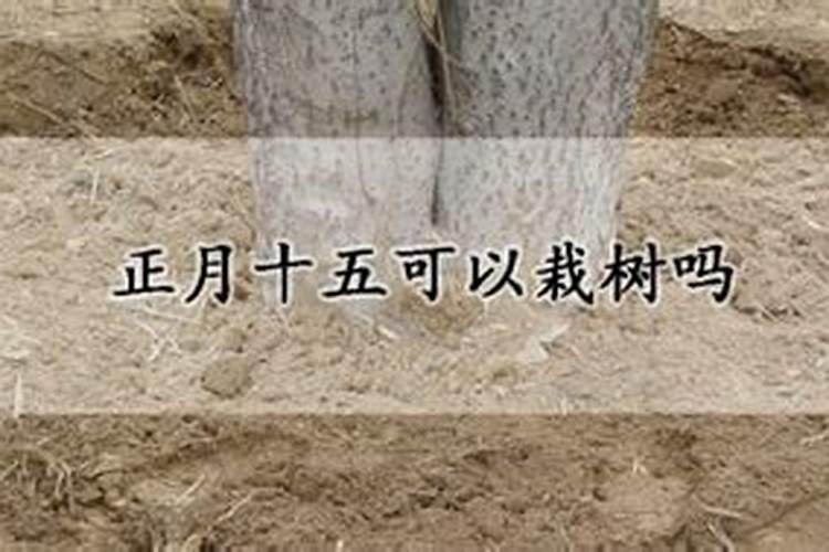 正月初5有什么禁忌
