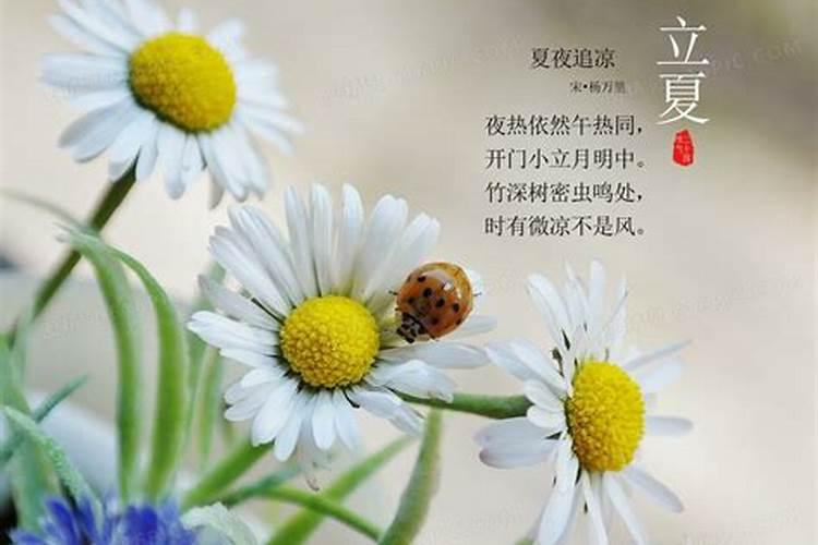 24节气立夏是什么意思 二十四节气的“立夏“是什么意思