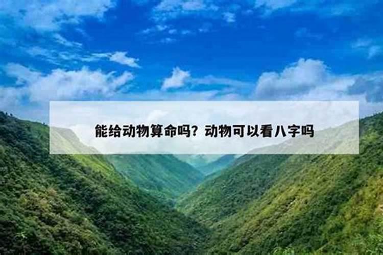 梦见自己出车祸了是什么意思