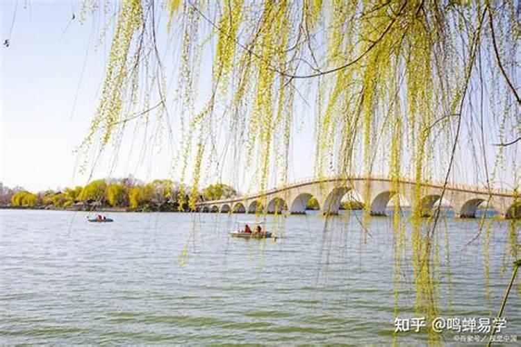 大师,八字中有贪合忘克和贪生忘克是什么意思？