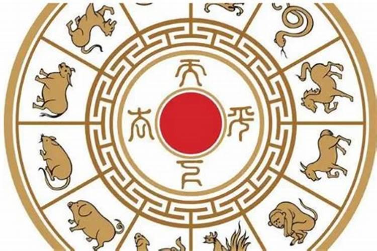 属相合婚准 还是八字合婚准？