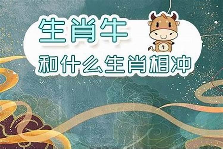 85年属牛人明年运势,属牛的人本月运程