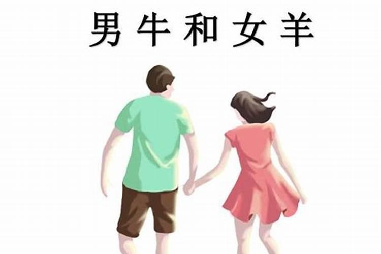 牛跟羊婚姻相配吗女牛男羊婚姻相配吗