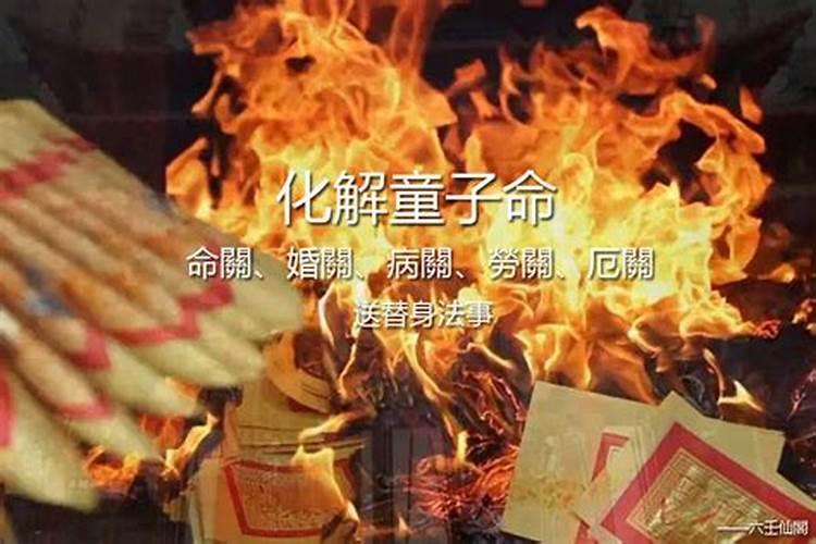 猪2025年犯太岁吗