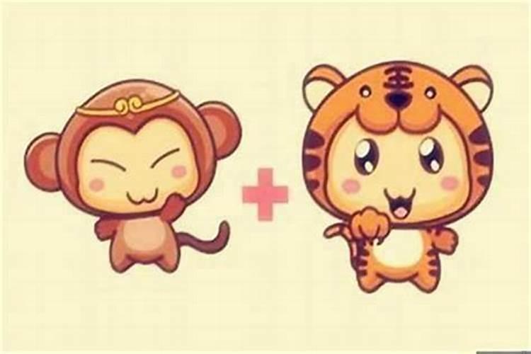 属虎的男与属猴的女配合婚好吗？