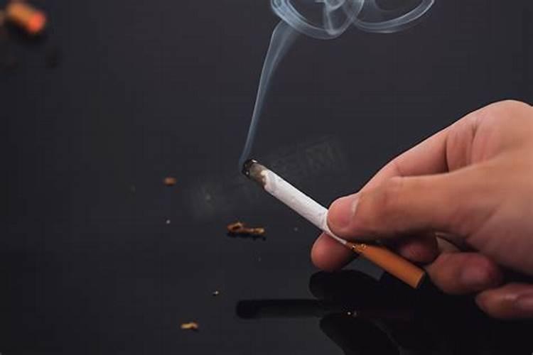 属兔二月出生的命运怎么样