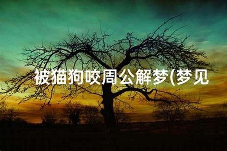 打掉了孩子要怎样回向给他呢佛教网