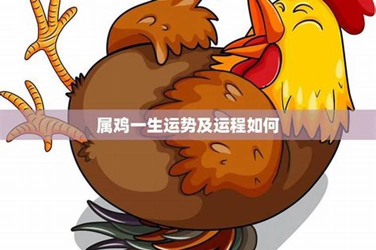 川字掌如何激活运势,大家帮忙看看 这是川字掌不,运势怎么样？