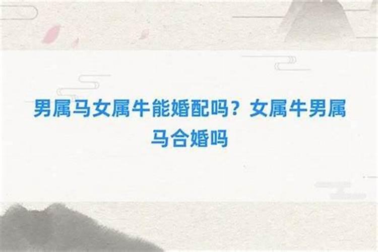 属马的和什么属相最配