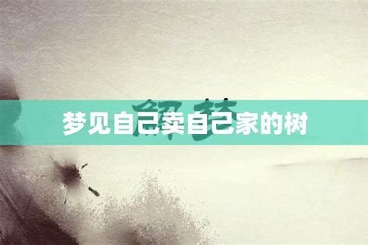 1975年属兔一生运势,1975年属女兔人一生运势