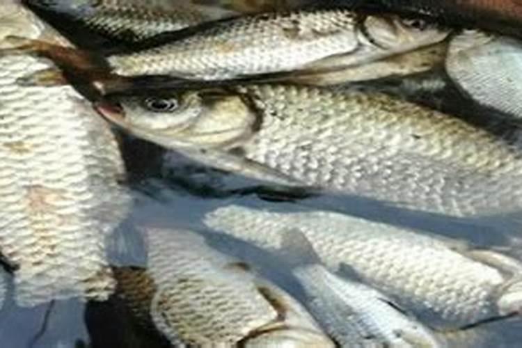 金牛座2025年每月运势
