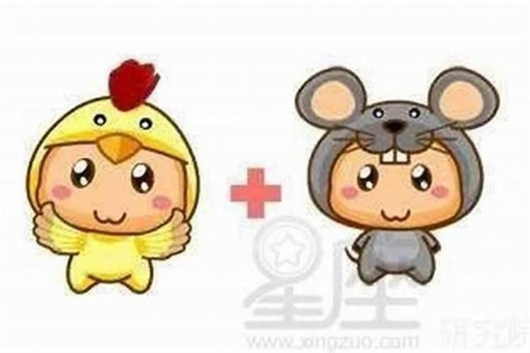 一九年什么年属相犯太岁,什么是犯太岁？