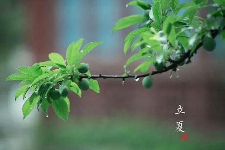 属马冲太岁佩戴朱砂可以吗？当然可以!