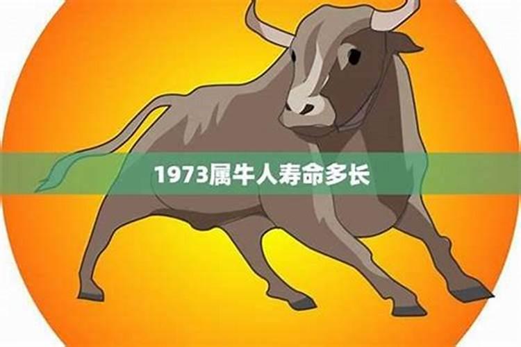 梦见伤疤意味着什么？