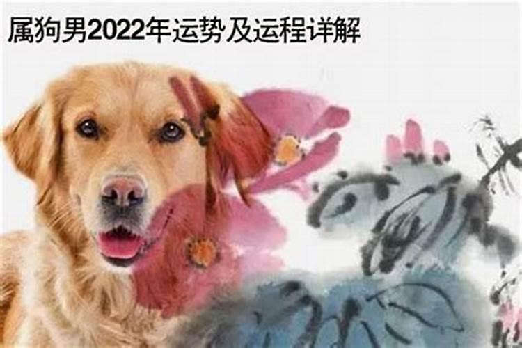 梦见老婆脖上有伤疤的预兆