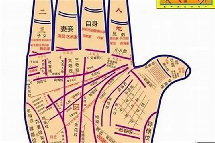 八字和面相手相哪个准的相学解说