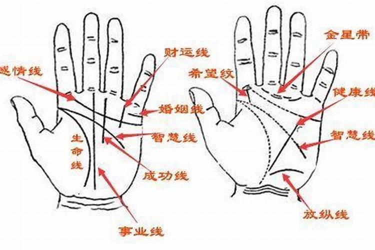 手相,面相,八字,痣相算命运哪个准？