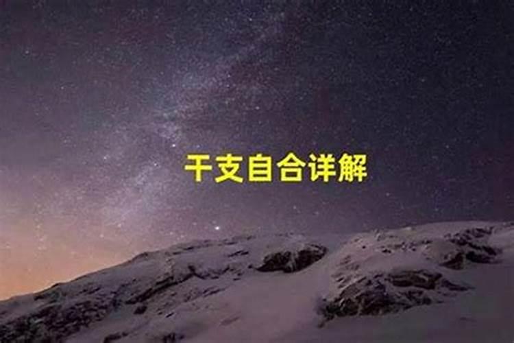 关于冬至的资料爱问知识人