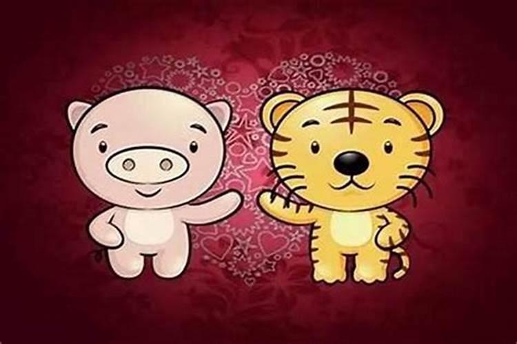 属虎和属猪相合吗,属虎和属猪婚姻怎么样？