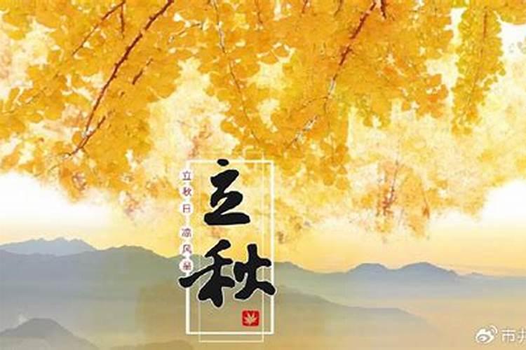 1978年农历8月属马人2025年运势