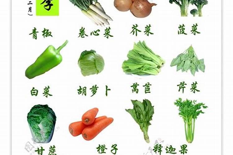 立冬的风俗南方吃什么